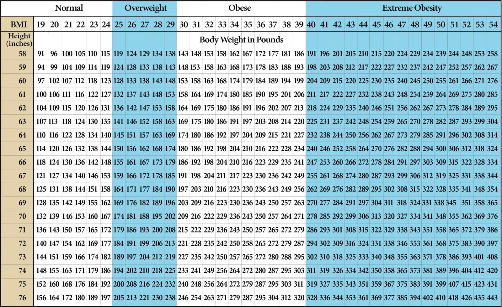 Bmi Calculator Diagram
